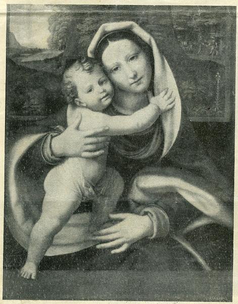 Andrea Solario (Bottega) - Madonna con Bambino - Dipinto - Budapest - Museo di Belle Arti (Szépmüvészeti Múzeum)