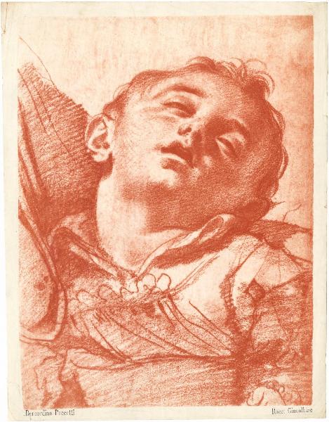 Poccetti, Bernardino - Bambino dormiente - Disegno - Milano - Raccolta Ginoulhiac