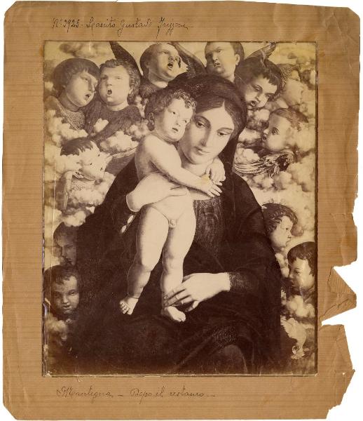 Mantegna, Andrea - Madonna con Bambino e coro di Cherubini - Dipinto - Tempera su tavola - Milano - Pinacoteca di Brera