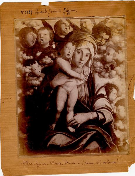 Mantegna, Andrea - Madonna con Bambino e coro di Cherubini - Dipinto - Tempera su tavola - Milano - Pinacoteca di Brera