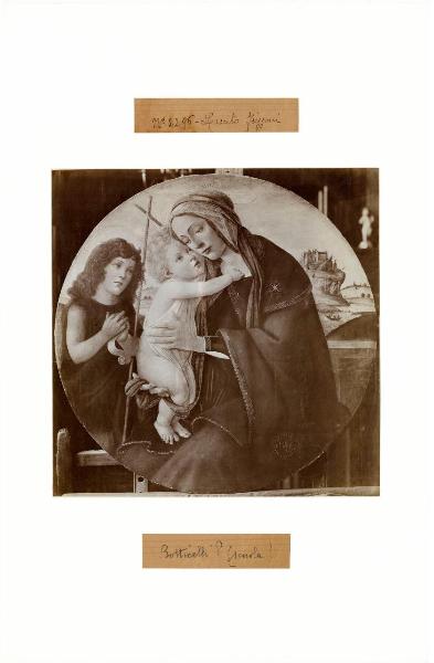 Botticelli, Sandro e bottega - Madonna con Bambino e san Giovannino - Dipinto su tavola - Tondo