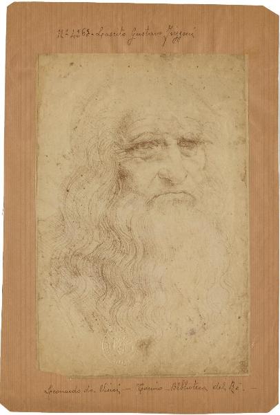 Leonardo da Vinci - Testa di vecchio - Autoritratto? - Disegno - Torino - Boblioteca Reale