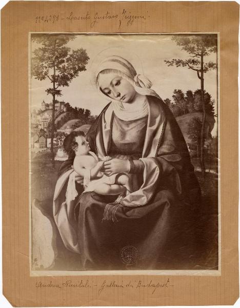 Previtali, Andrea detto Cordeliaghi - Madonna con Bambino - Dipinto su tavola - Budapest - Museo di Belle Arti (Szépmüvészeti Múzeum)