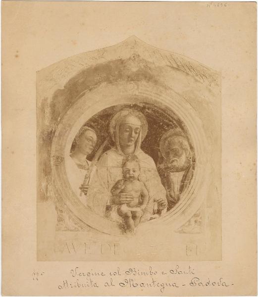 Mantegna, Andrea (scuola) - Madonna con Bambino e due santi - Affresco staccato - Padova - Proprietà Achille De Zigno