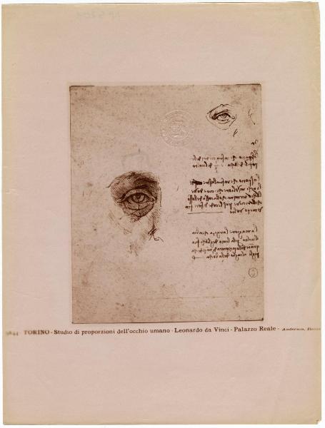 Leonardo da Vinci - Studio delle proporzioni del'occhio umano - Disegno - Torino - Boblioteca Reale