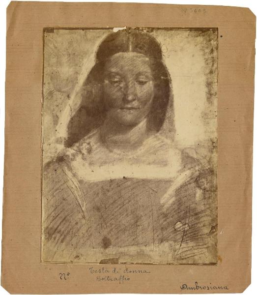 Boltraffio, Giovanni Antonio - Ritratto femminile (cosiddetta Isabella d'Aragona) - Disegno - Milano - Biblioteca Ambrosiana