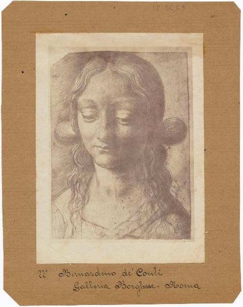 Maestro della Pala Sforzesca - Testa femminile - Disegno - Roma - Galleria Borghese