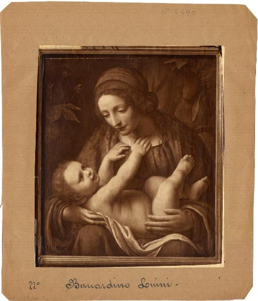 Luini, Bernardino - Madonna con Bambino - Dipinto - Olio su tavola - Nivå - Nivaagaards Malerisamlings