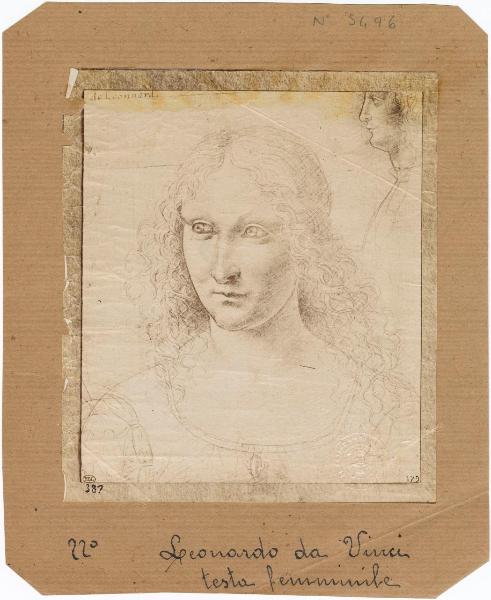 Maestro della Pala Sforzesca - Ritratto femminile, studio testa di profilo - Disegno - Parigi - Louvre - Département des Arts graphiques