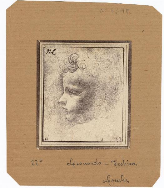 Boltraffio, Giovanni Antonio - Testa di bambino di profilo - Disegno - Parigi - Louvre - Département des Arts graphiques