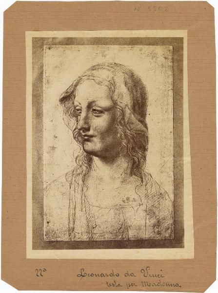 Maestro della Pala Sforzesca - Studio di testa femminile con velo - Disegno - Firenze - Uffizi - Gabinetto dei Disegni e delle Stampe