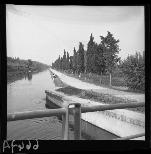 Paesaggio mantovano - Provincia di Mantova  - Fiume Mincio (?)