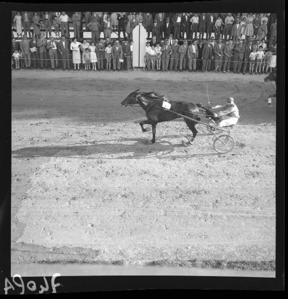 Giornata inaugurale delle corse al trotto - Il vincitore Bezzecchi alla guida del suo cavallo Miss Frost - Mantova - Parco Te - Ippodromo