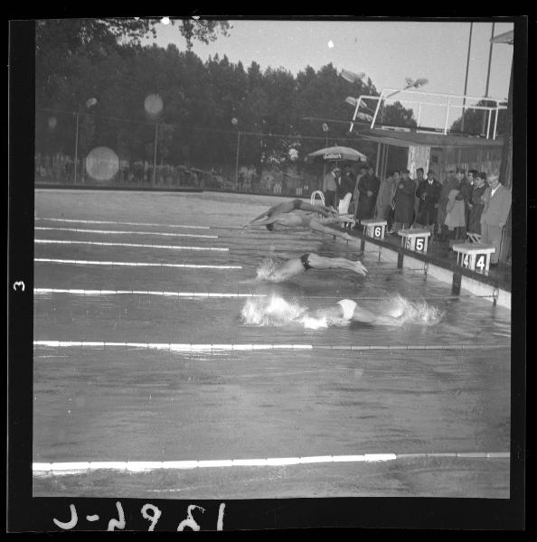 Gare di nuoto internazionali - Partenza dei 1500 stile libero - Mantova - Viale Monte Grappa - Nuova piscina comunale - Vasca olimpionica