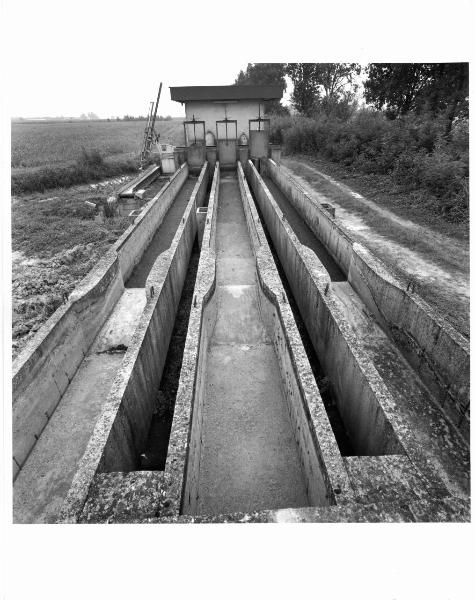 Cella Dati - Cascina Campagna - Impianto irriguo -  Vegetazione