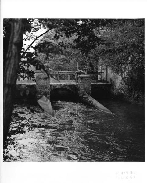 Pontoglio -  Fiume Oglio - Roggia Castellana - Paratoie - Alberi - Vegetazione