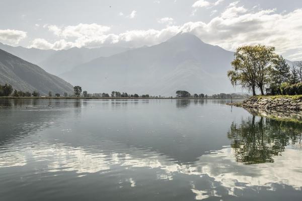 Novate Mezzola - Veduta del lago di Mezzola - Riflesso - Riva - Alberi