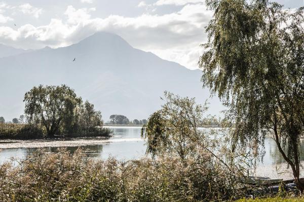 Novate Mezzola - Veduta del lago di Mezzola - Alberi - Barca