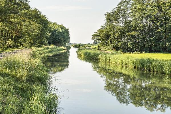 Naviglio di Bereguardo - Paratoie - Pista ciclabile - Strada Sterrata - Vegetazione - Campi coltivati