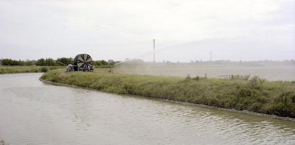 Oltrepò mantovano - Canale - Rotolone per irrigazione - Irrigazione a pioggia - Campi - Vegetazione - Pali dell'elettricità
