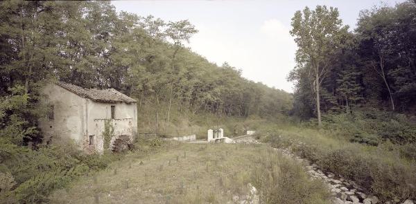 Mulino - Torrente - Paratoia - Alberi - Vegetazione