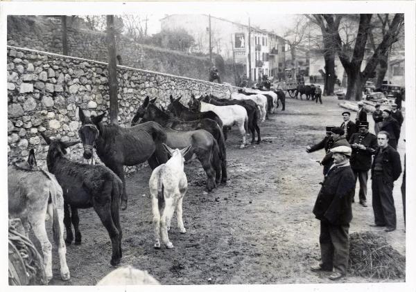 Prats-de-Mollo-la-Preste (Francia) - Guerra civile spagnola - La "Retirada" - I muli portati dagli esuli vengono sequestrati alla dogana - Civili e guardie osservano gli animali - Carro trainato da buoi - Automobili