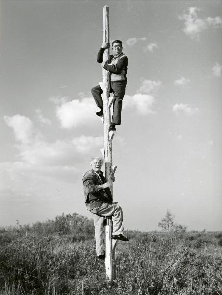 Scena del film "Fernandel, Scopa e Pennel" - Cloche, Maurice, 1961 - Arrampicati sopra un palo piantato nel terreno, Fernandel, in alto, e un attore non identificato scrutano l'orizzonte al di sopra dell'obbiettivo.

