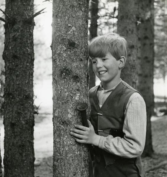 Scena del film "Un flauto in paradiso" - Gamma, Vincenzo, 1958 - Un attore bambino guarda sorridente davanti a se appoggiato a un tronco di un albero.
