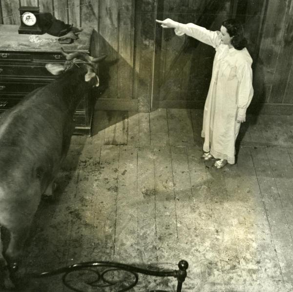 Scena del film "La Granduchessa si diverte" - Gentilomo, Giacomo, 1940 - In una stanza: Paola Barbara in camicia da notte indica, con il braccio destro, a una mucca di spostarsi.
