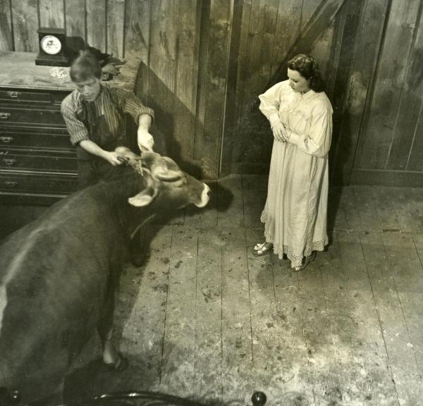 Scena del film "La Granduchessa si diverte" - Gentilomo, Giacomo, 1940 - A destra, Paola Barbara in camicia da notte e con le mani congiunte al petto guarda a sinistra verso un attore non identificato che tiene per le corna una mucca.