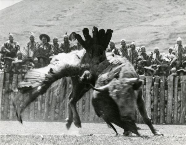 Scena del film "L'impero del sole" - Craveri, Mario, Gras, Enrico, Moser, Giorgio, 1956 - Combattimento tra un toro e un condor. Dietro, molti attori non identificati guardano la scena.
