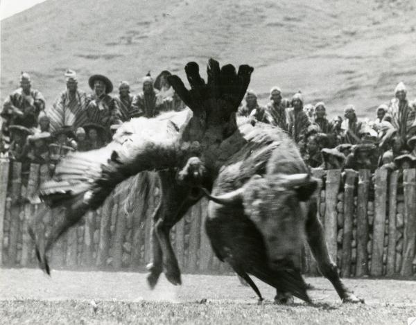 Scena del film "L'impero del sole" - Craveri, Mario, Gras, Enrico, Moser, Giorgio, 1956 - Combattimento tra un toro e un condor. Dietro, molti attori non identificati guardano la scena.
