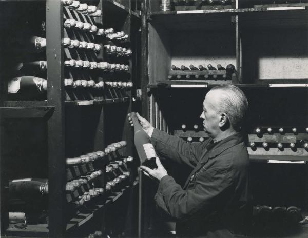 Milano - Cantina - Bottiglie di vino - Uomo