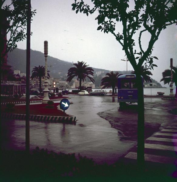 Rapallo - Materie plastiche - Vedril - Segnaletica stradale - Direzione obbligatoria - Autobus