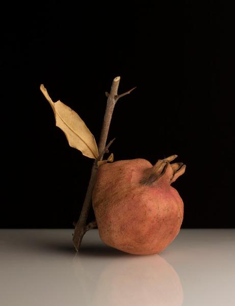 Still life: forme della natura - Frutta - Melagrana