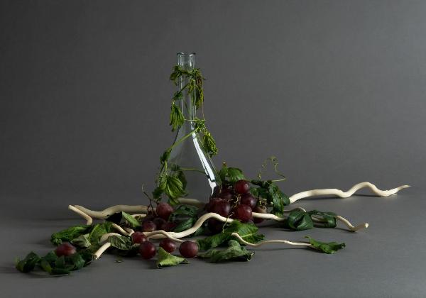 Still life: natura morta - Bottiglia con acini d'uva e rami - Composizione