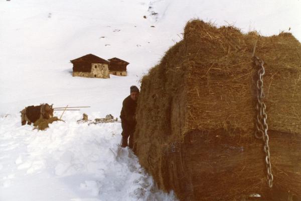 Il trasporto del fieno a fondovalle