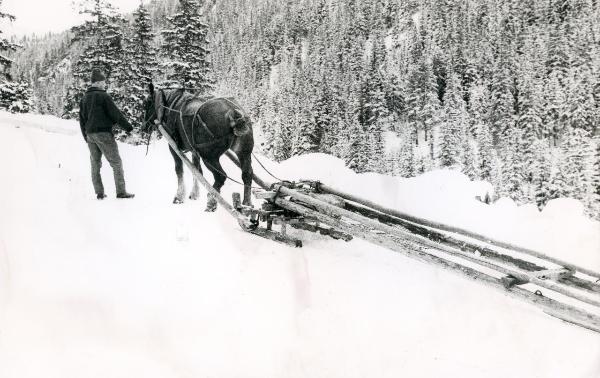 Uomo e cavallo sulla neve