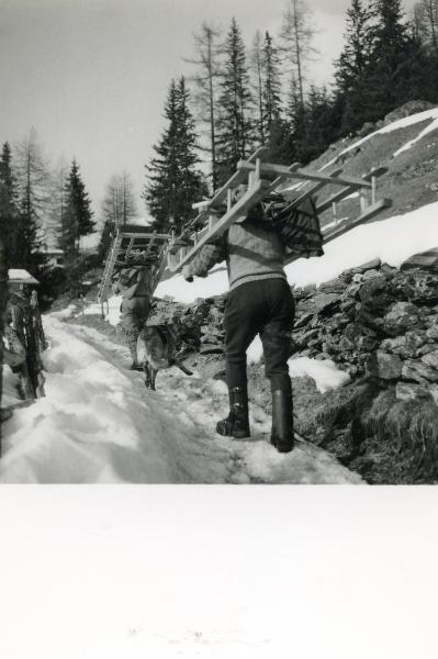 Uomini che trasportano li lölza sulle spalle