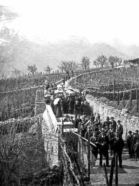 La banda in vigna