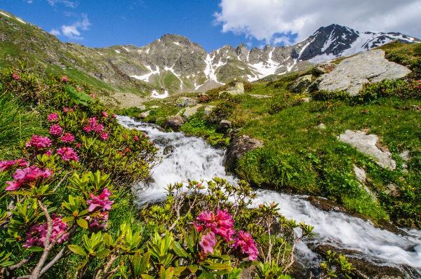 Ruscello Alpe Angeloga