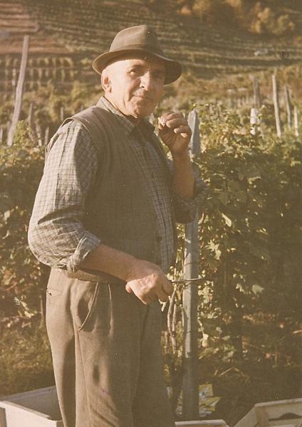 A vendemmia al Ravinasc