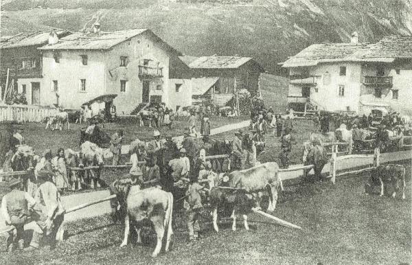 "Al marchè" all'esterno del futuro museo