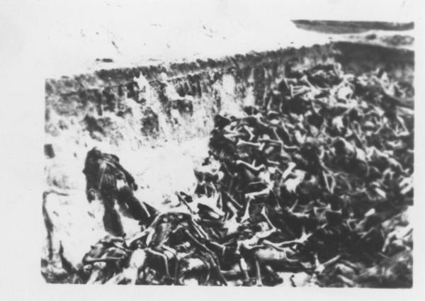 Seconda guerra mondiale - Nazismo - Germania - Campo di concentramento di Bergen Belsen - Fossa comune - Cumulo di cadaveri scheletriti e nudi