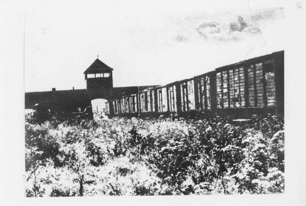 Nazismo - Polonia - Campo di concentramento / Campo di sterminio di Auschwitz-Birkenau - Ingresso - Porta ed edificio - Vagoni del treno