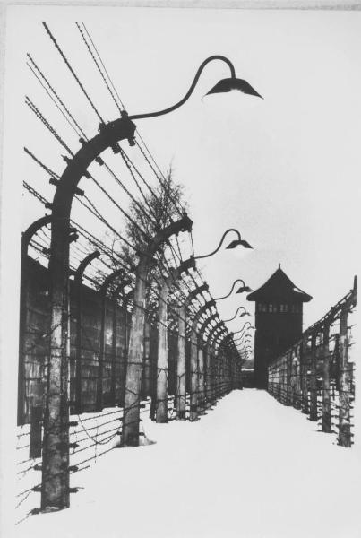 Nazismo - Polonia - Campo di concentramento / Campo di sterminio di Auschwitz-Birkenau - Memoriale - Recinzione - Doppio reticolato con filo spinato e corrente elettrica ad alta tensione - Torretta - Lampade - Neve