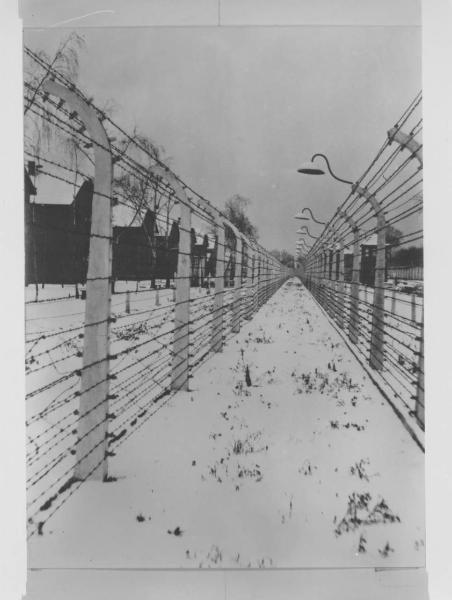 Nazismo - Polonia - Campo di concentramento / Campo di sterminio di Auschwitz-Birkenau - Pali e reticolato con filo spinato e corrente elettrica ad alta tensione - Luci