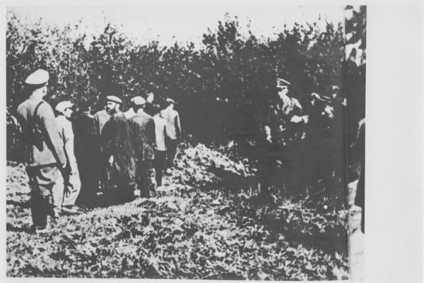 Seconda guerra mondiale - Ucraina, Kaments Podolski - Occupazione tedesca - Eccidio di ebrei - Fucilazione / esecuzione di uomini - Polizia tedesca in divisa - Boschi - Nazismo