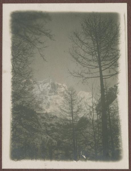 Valtournenche: Breuil - Montagne - Neve - Alberi - Veduta