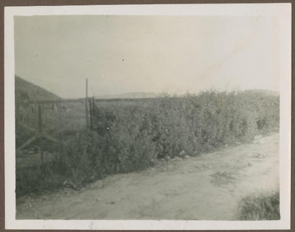 Belgio - Waterloo - Campo di battaglia - Collina del leone, dettaglio - Strada